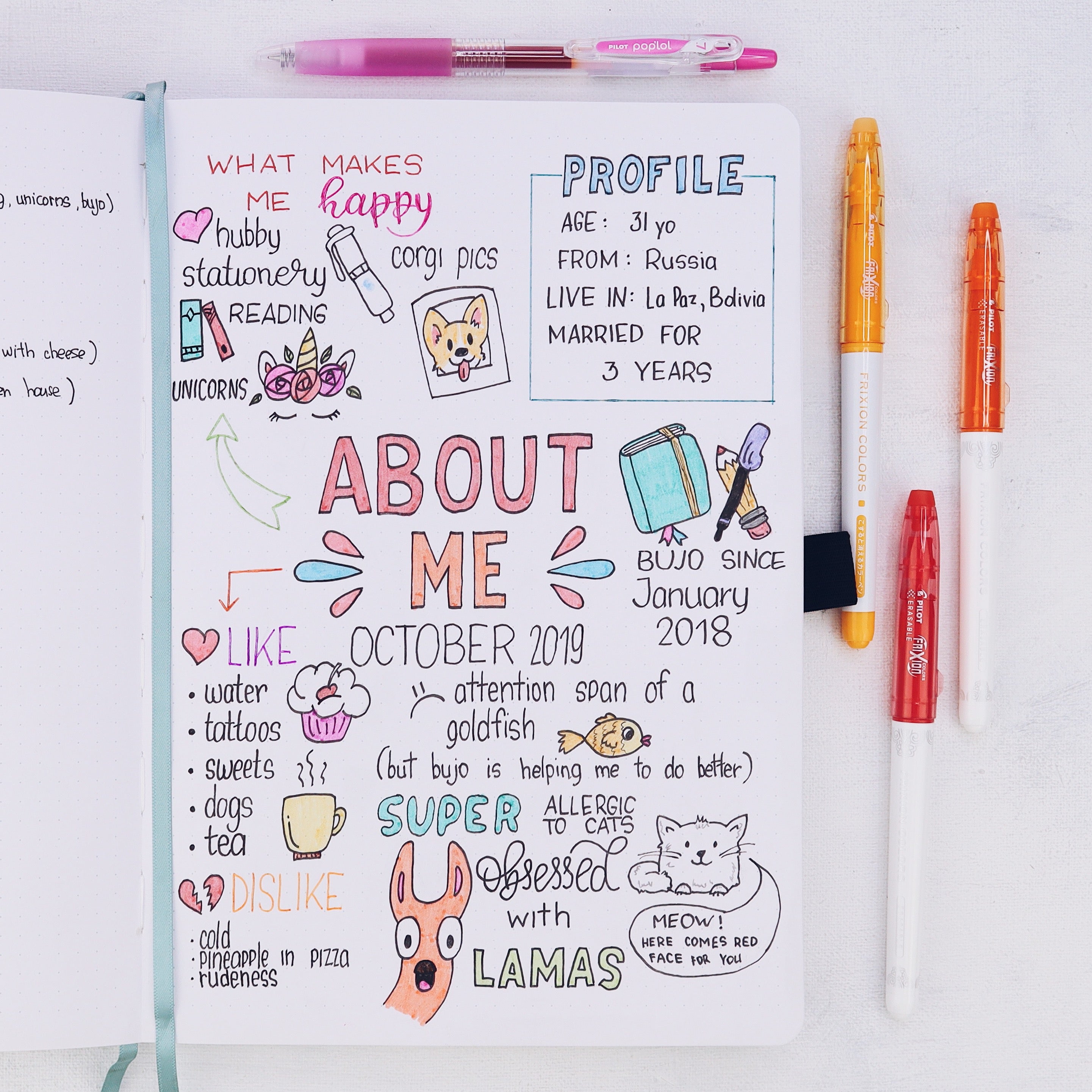 Cute Bullet Journal and Edits