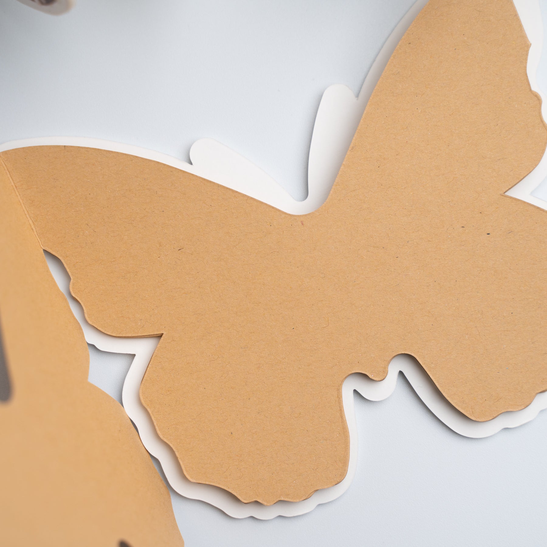 Beneath the Willows Memory Books - Set of 3 - Archer and Olive