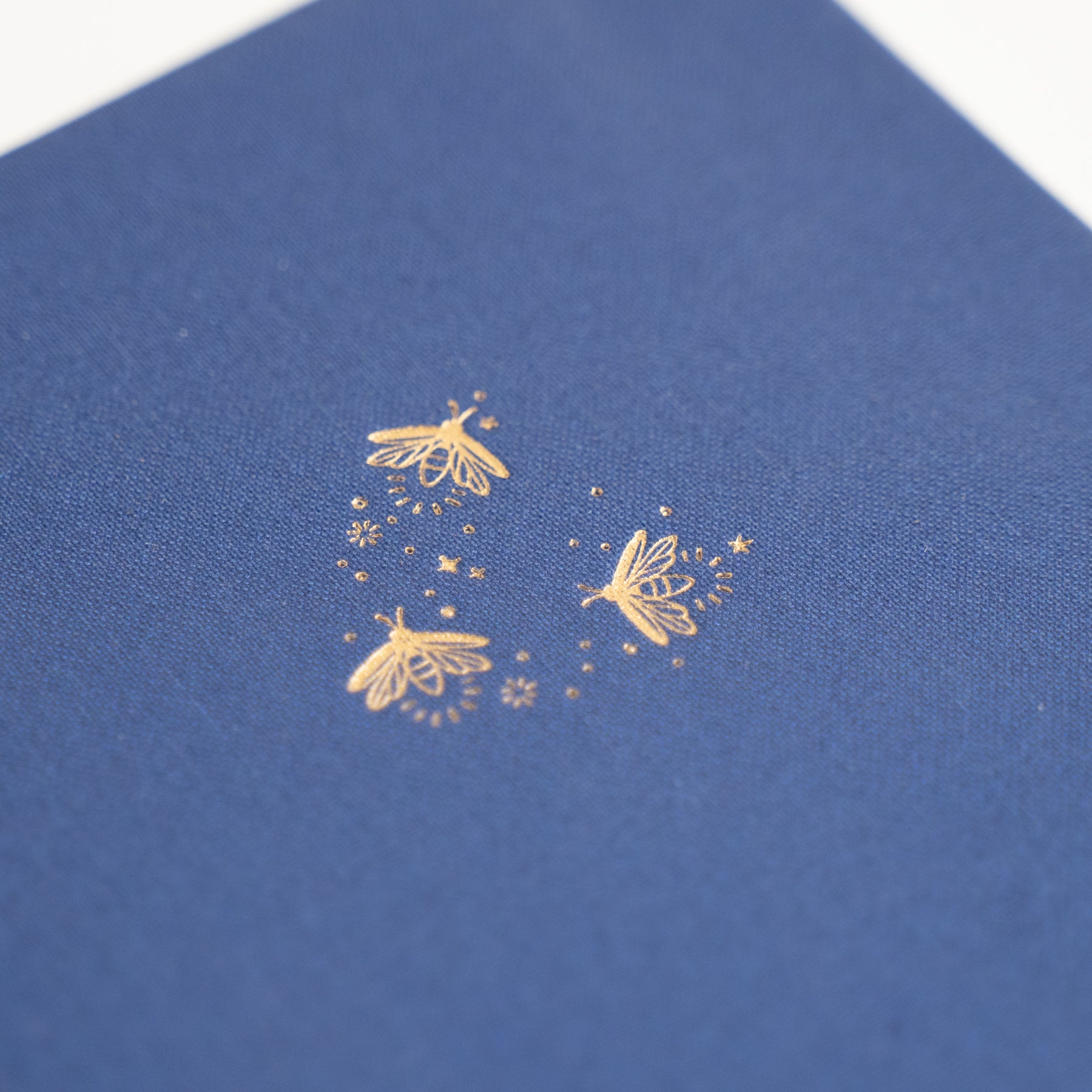 B6 Dot Grid Notebook: Firefly Night - Archer and Olive