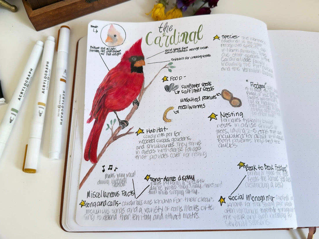 Creating A "Learn Everything About One Thing" Page