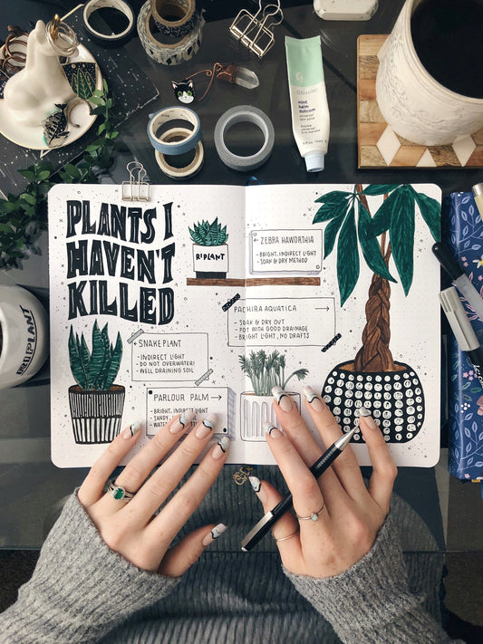 Bullet Journal Plant Care Tracker