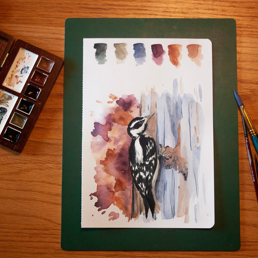 How To Paint A Fall Woodpecker With Watercolor