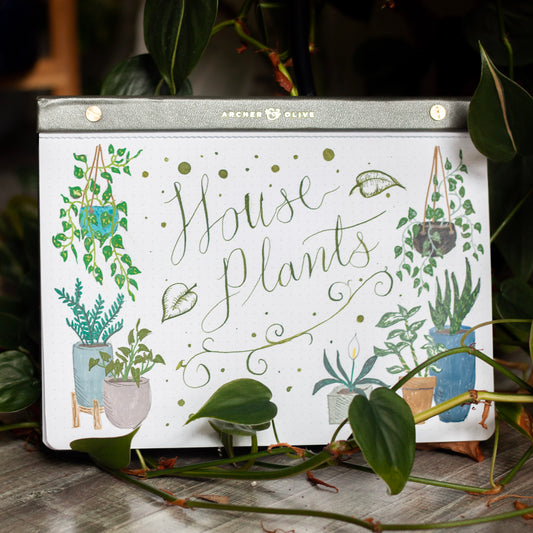 Beginner Friendly House Plant Doodle Tutorials