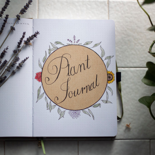 Plant Care Bullet Journal Trackers You Need To Keep Your Plants Alive