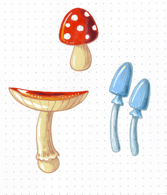 How To Create Cute Realistic Mushroom Doodles