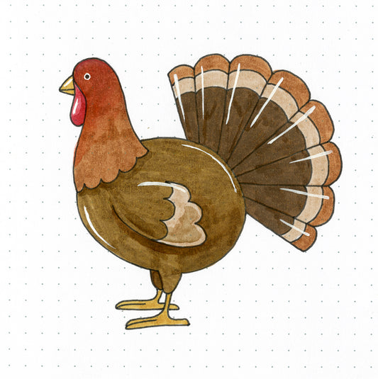 How To Draw A Turkey Tutorial - Step By Step For Beginners