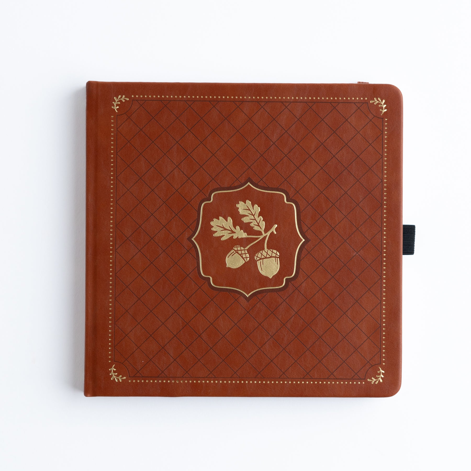 Acorns: Dot Grid Notebook | Archer and Olive