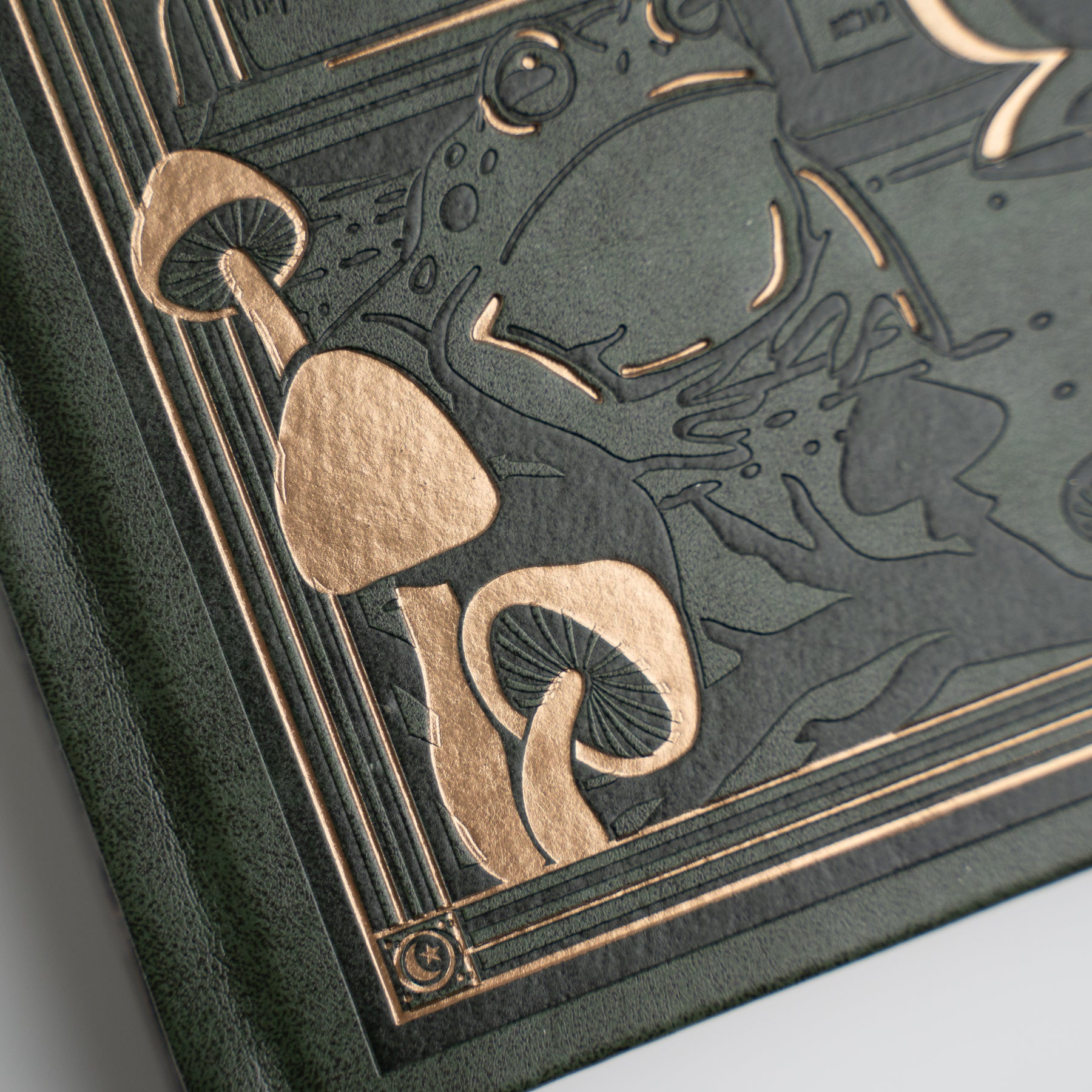 Apothecary Shelf | Notebook