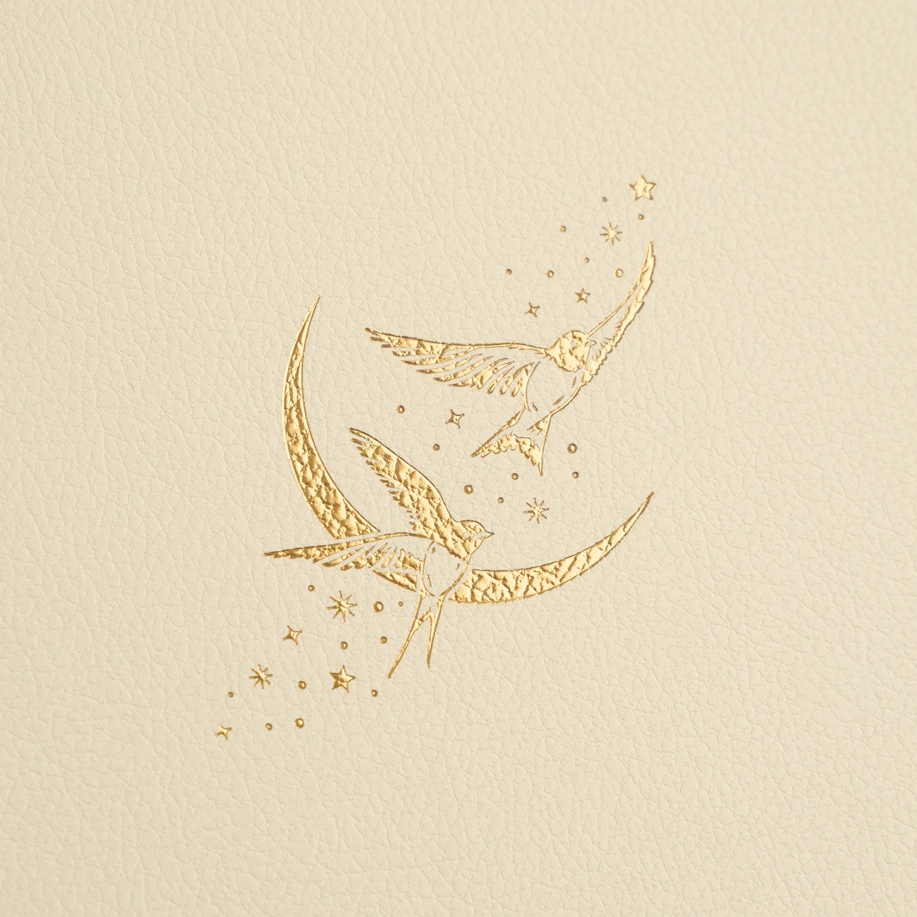 B5 Swallows: Dot Grid Notebook - Archer and Olive