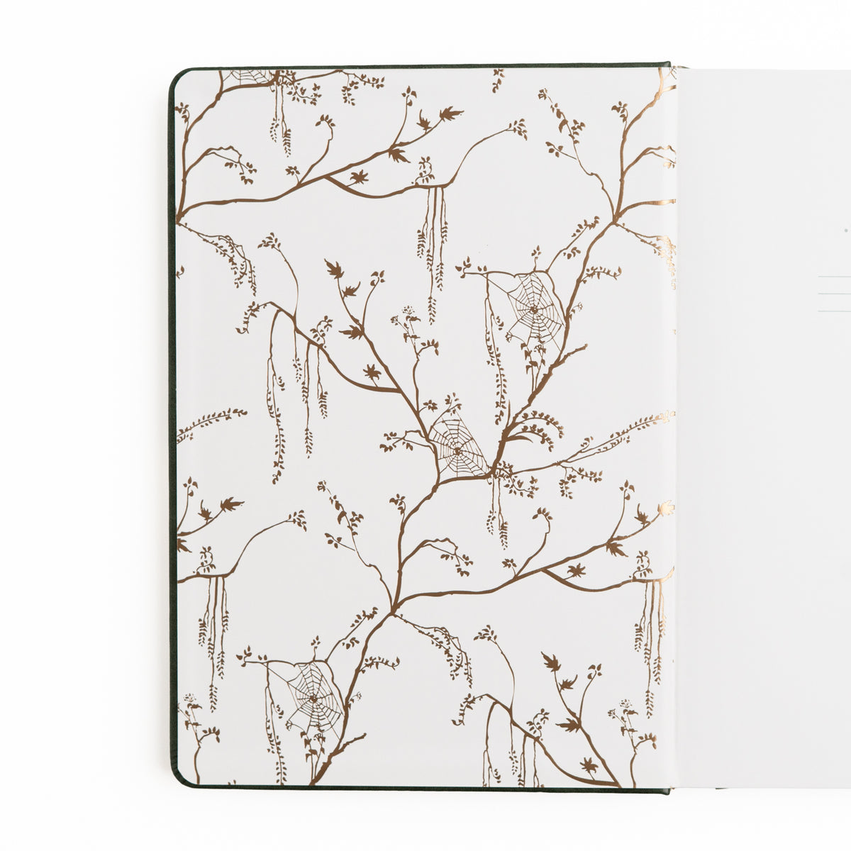 Apothecary Shelf | Notebook