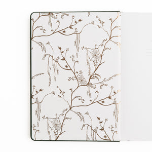 Apothecary Shelf | Notebook