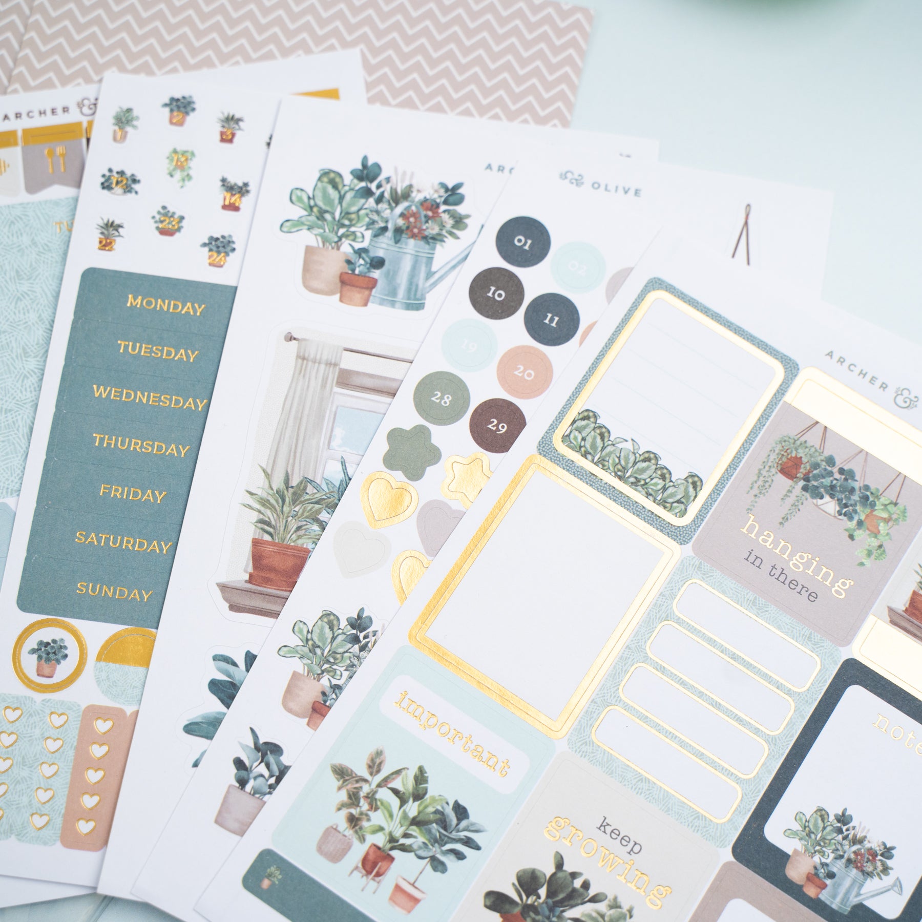 Plant Therapy Kit - Archer and Olive