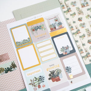 Plant Therapy Kit - Archer and Olive