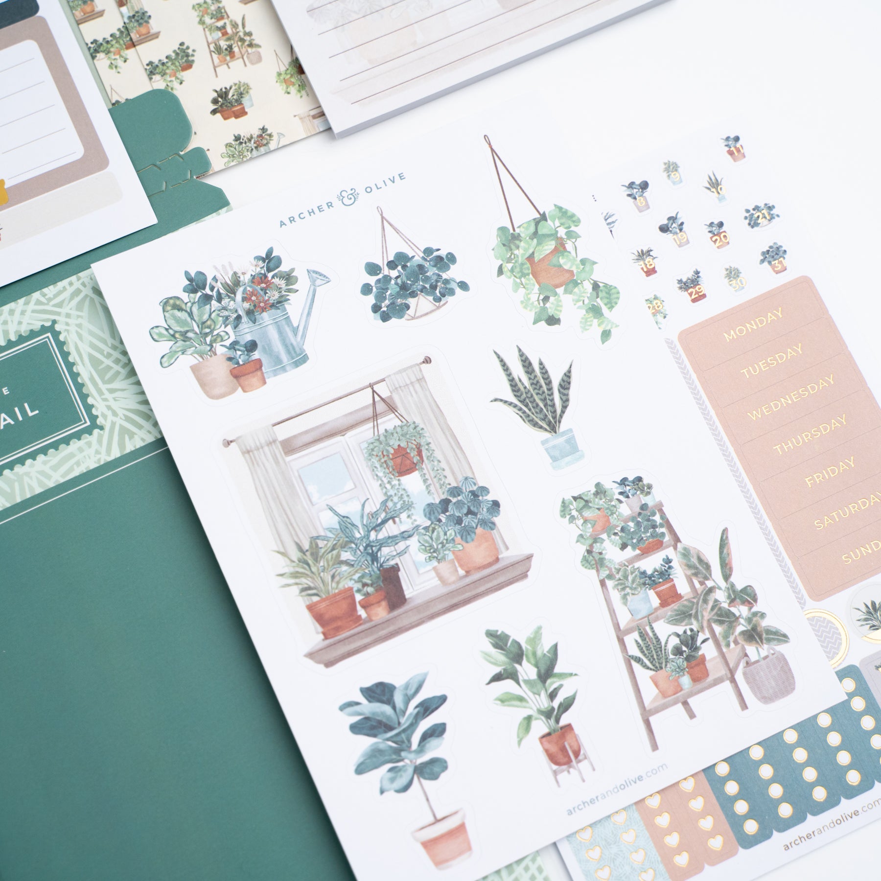 Plant Therapy Kit - Archer and Olive