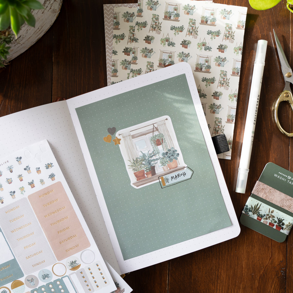 Plant Therapy Kit - Archer and Olive