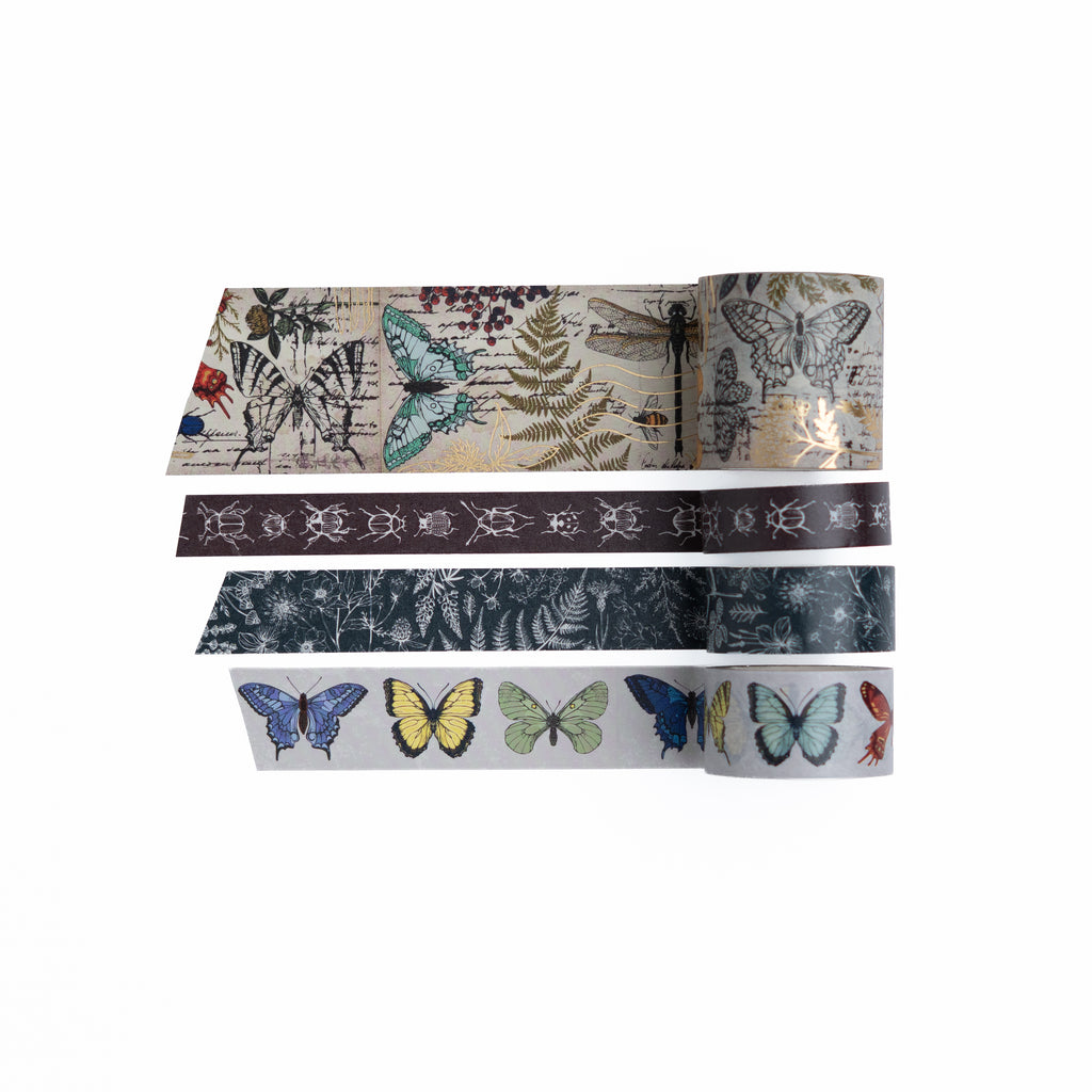 Nature’s Curiosities Washi