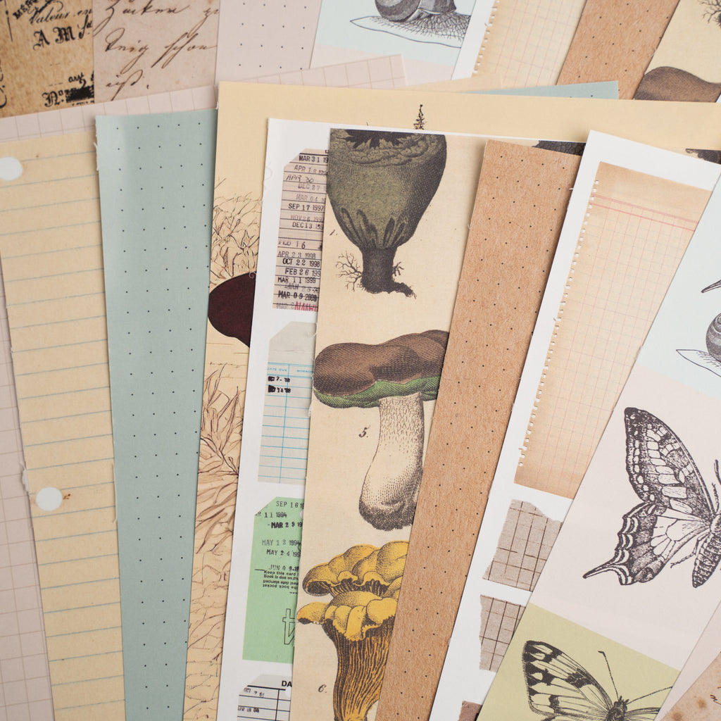 Bonnies Fave Collage Papers