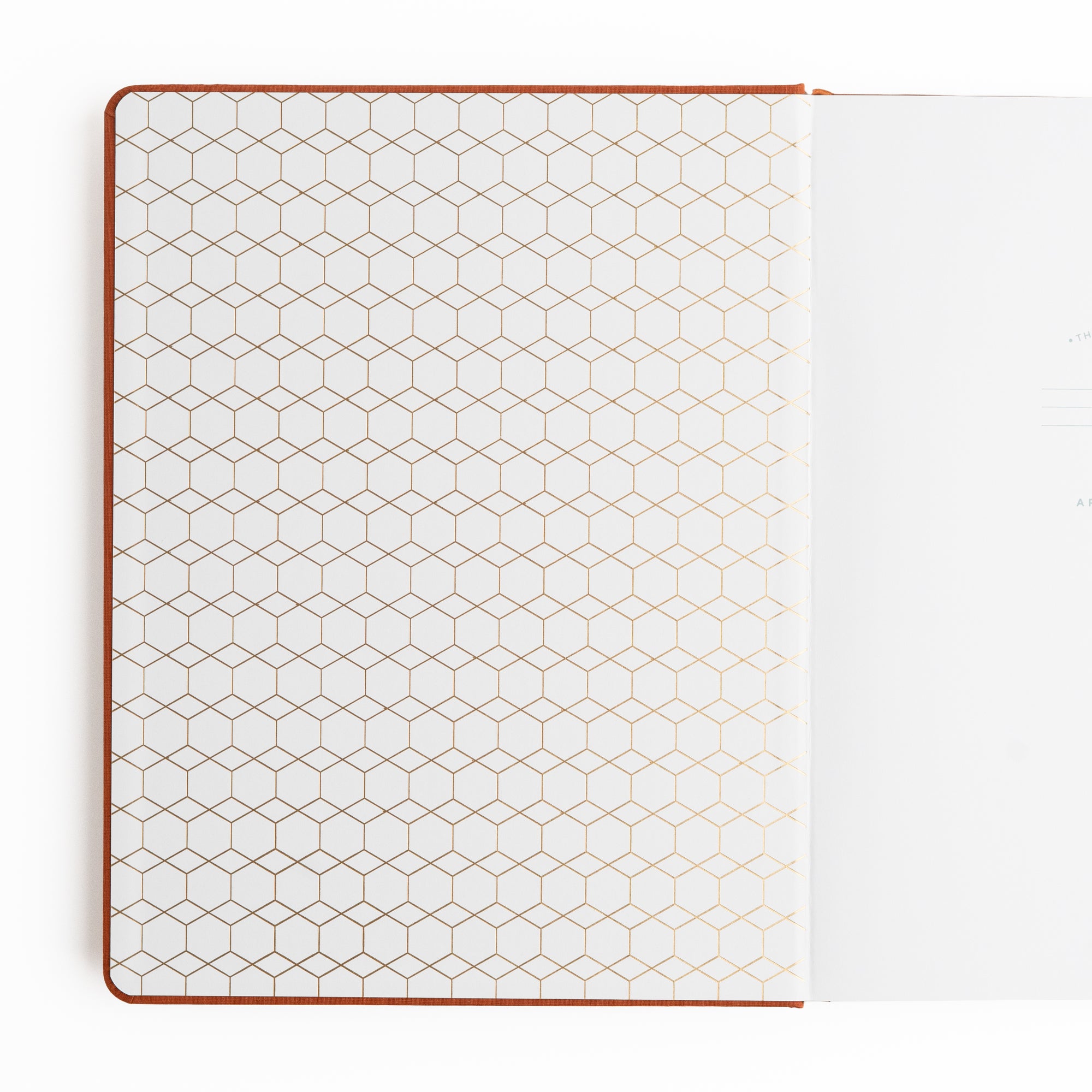 Keeper of the Bees in Rust: Notebook