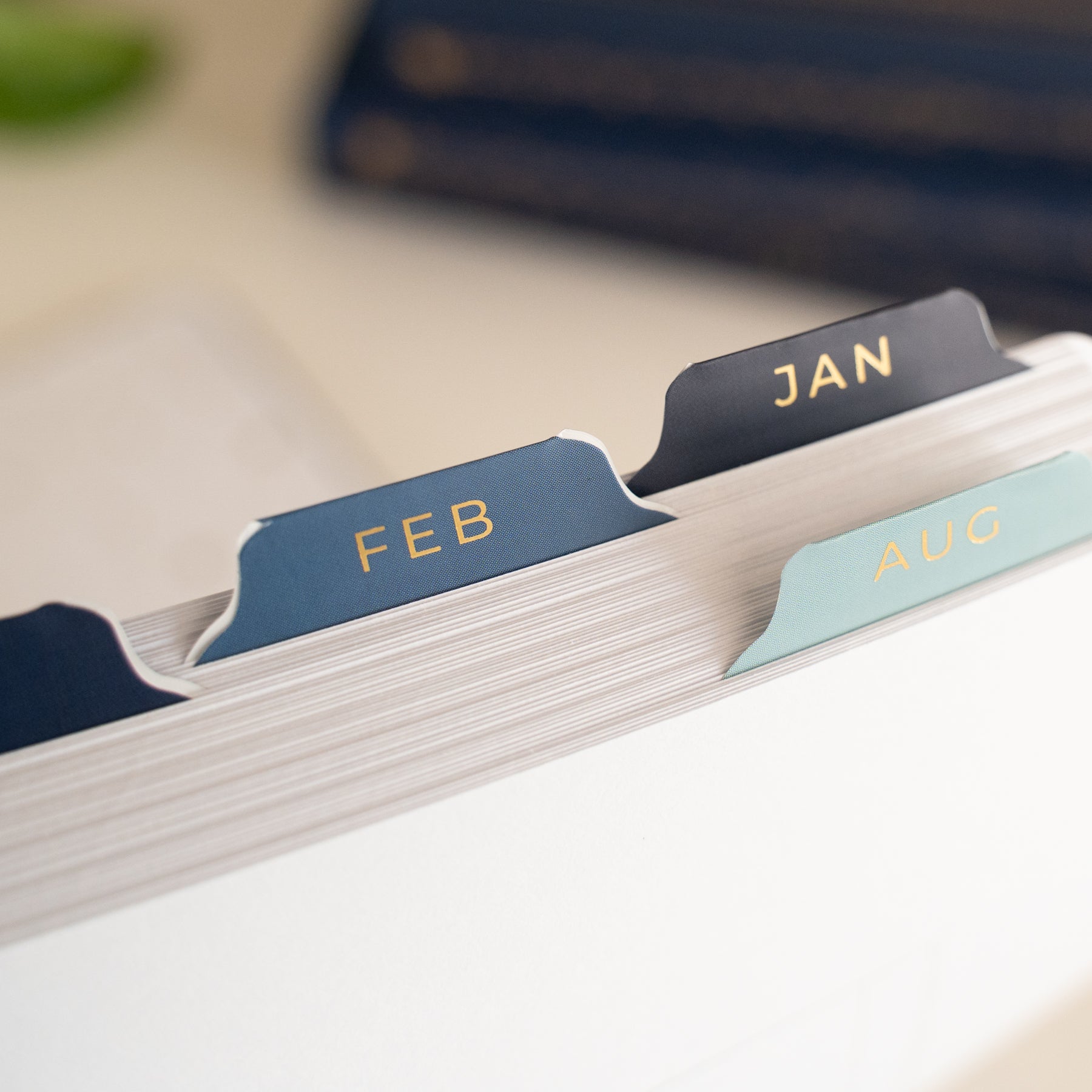 Vinyl Planner Tabs - Majestic Skies - Archer and Olive