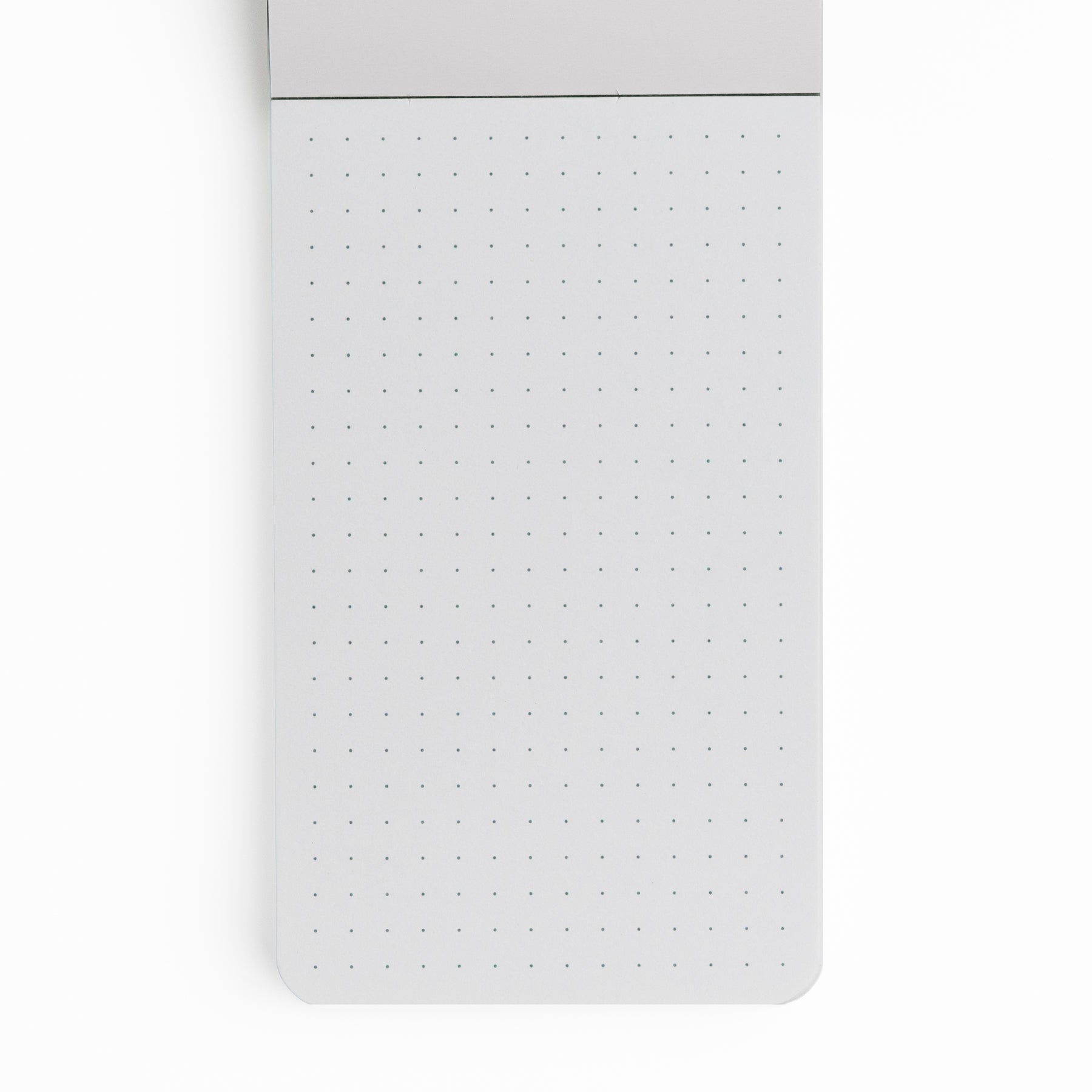 Forest Findings Memo Pad - Archer and Olive