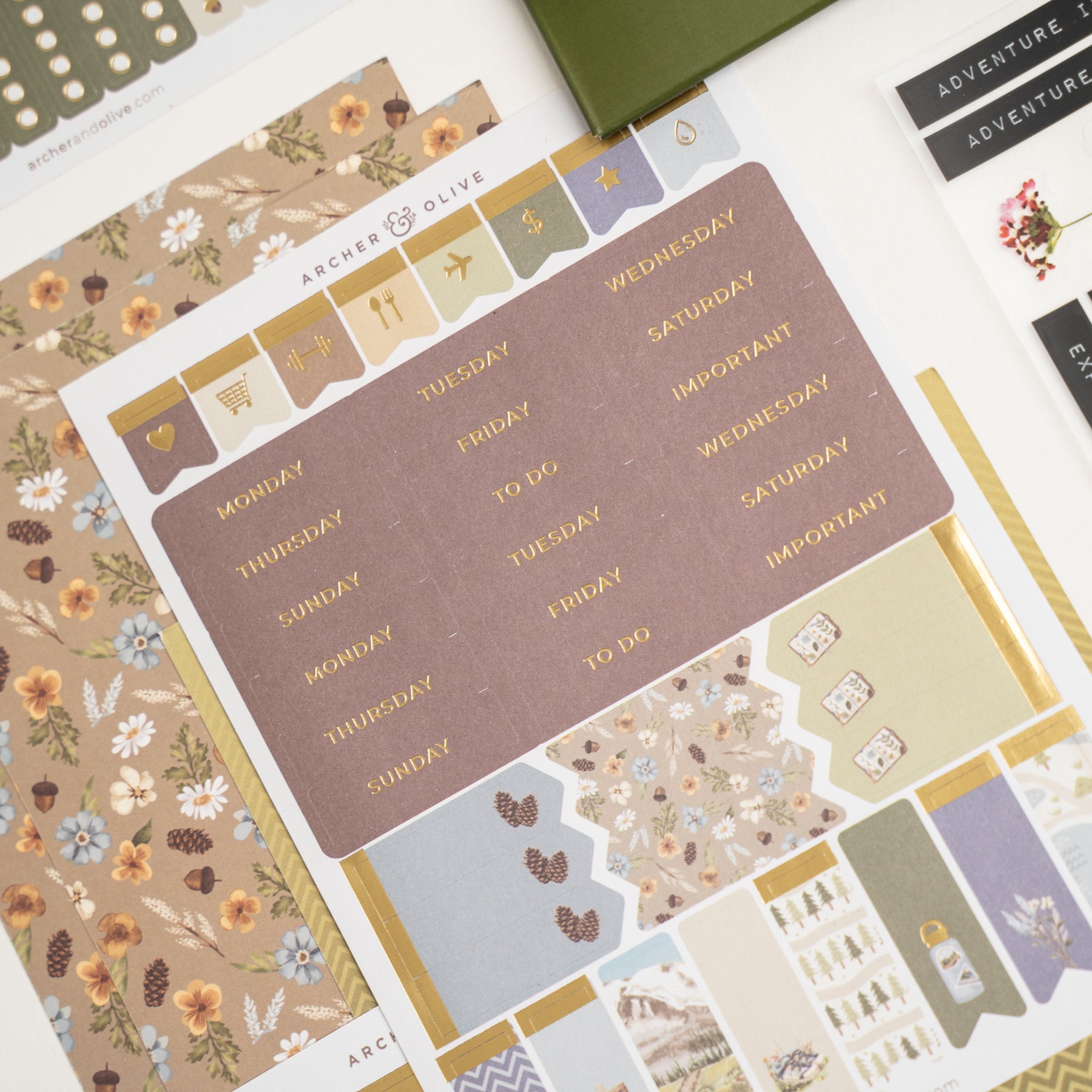 Nature Walk Kit - Archer and Olive