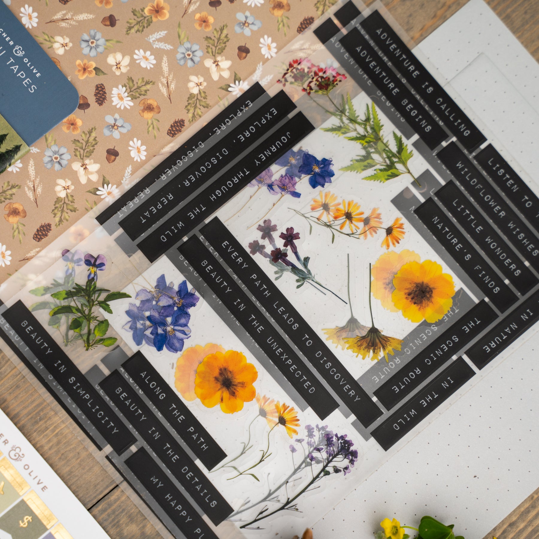 Nature Walk Kit - Archer and Olive