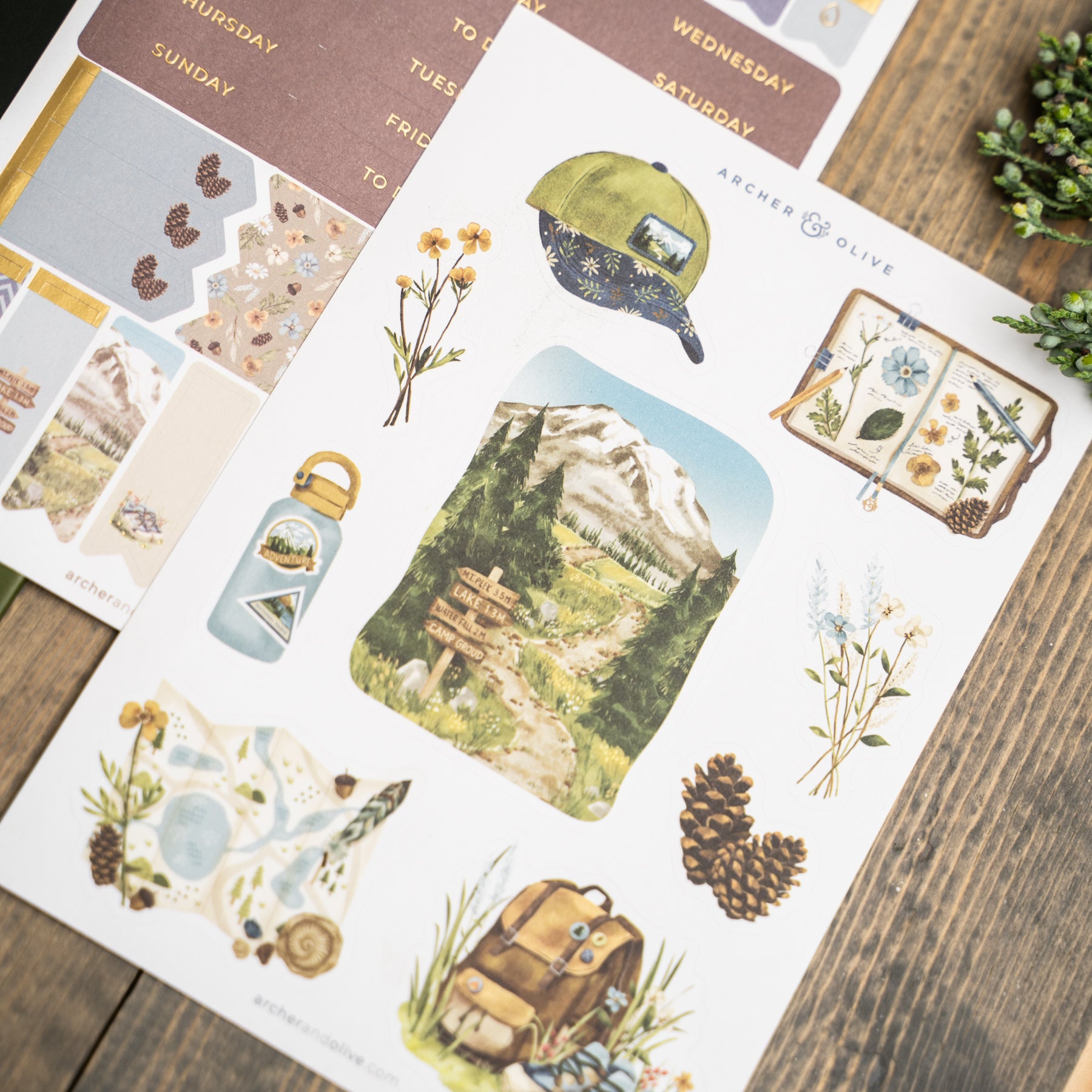 Nature Walk Kit - Archer and Olive