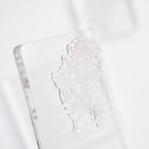 Acrylic Stamping Block Set of 3 - Archer and Olive