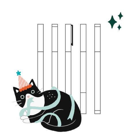 Individual Pen Mystery Bundle (5 Pack) - Archer and Olive