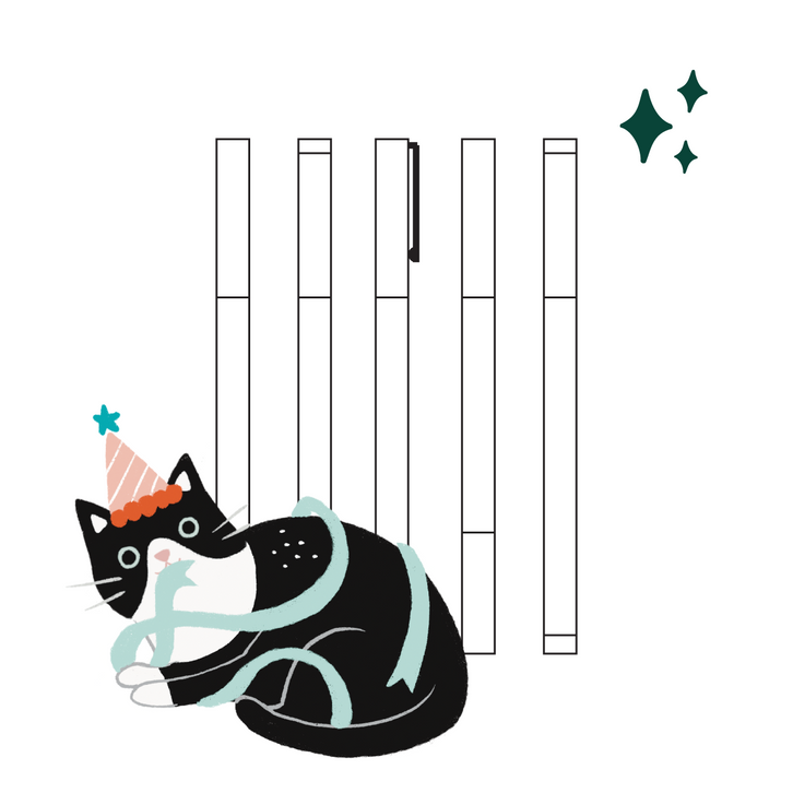 Individual Pen Mystery Bundle (5 Pack) - Archer and Olive