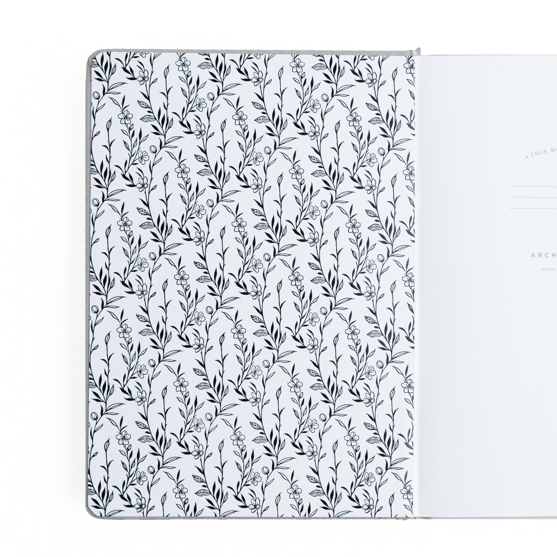 B6 Dot Grid Notebook: Radiant Raccoon - Archer and Olive