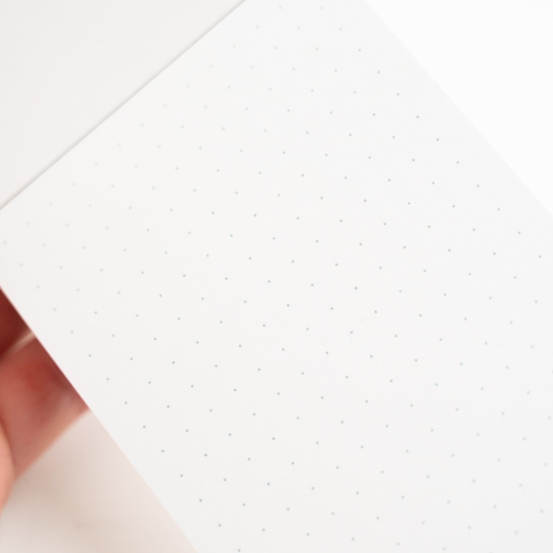 Summer 2025 Memo Pad - Archer and Olive