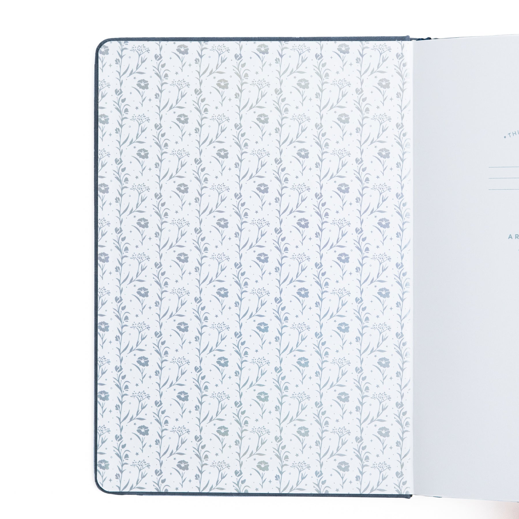 Moonlit Garden | Books