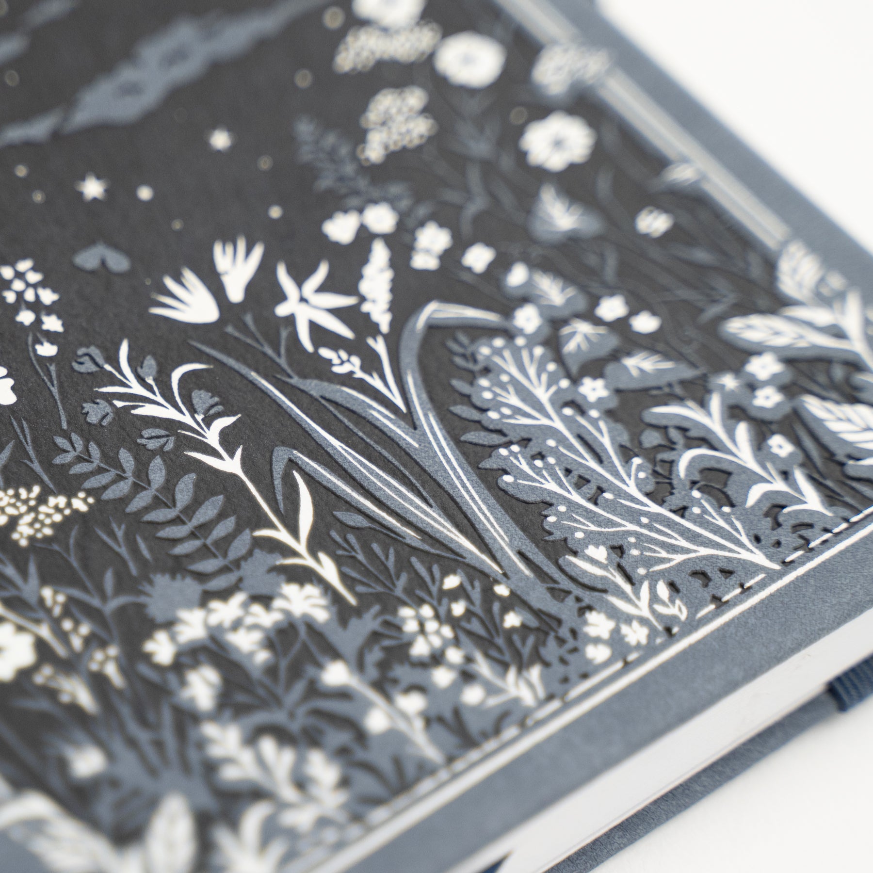 B6 Dot Grid Notebook: Moonlit Garden - Archer and Olive