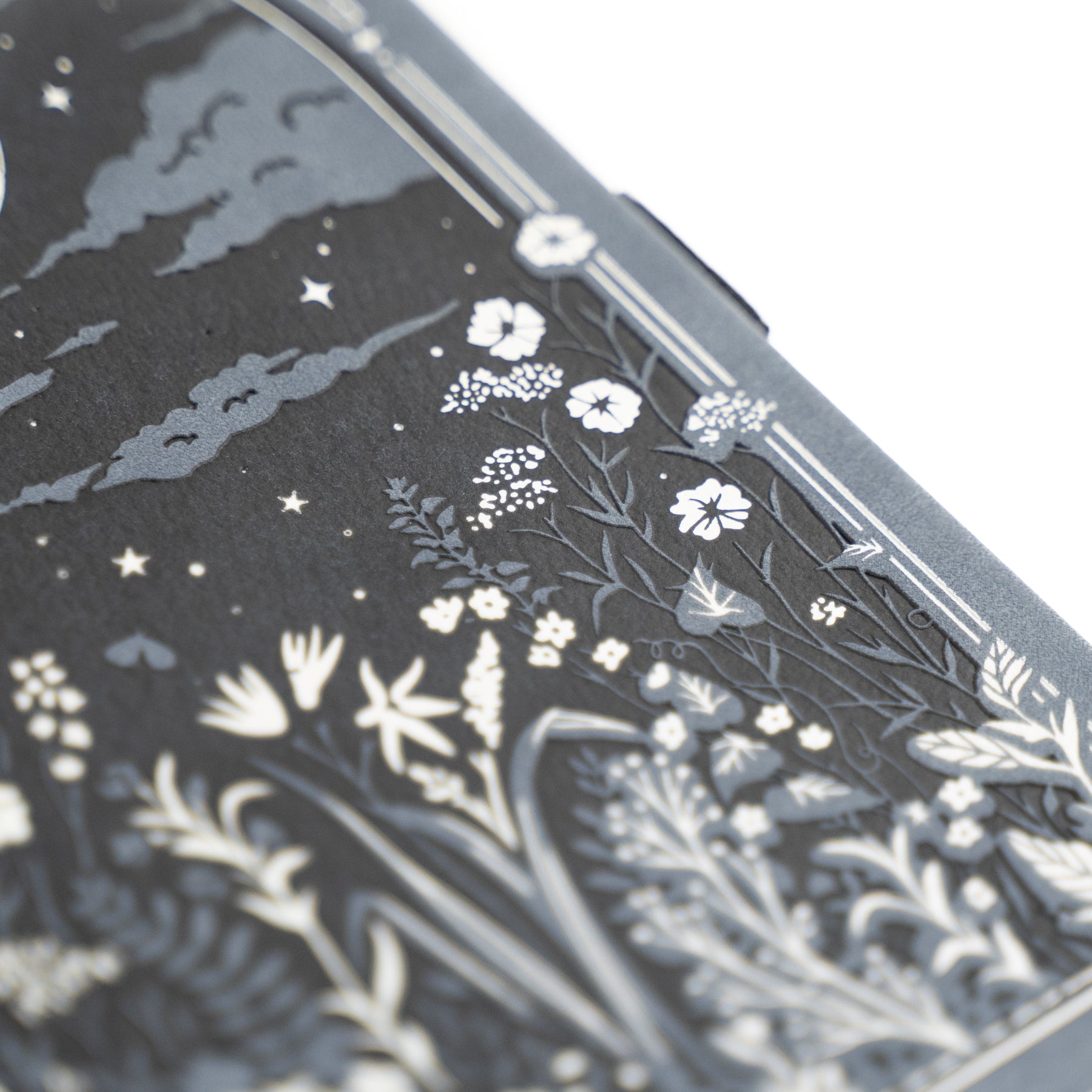 B6 Dot Grid Notebook: Moonlit Garden - Archer and Olive