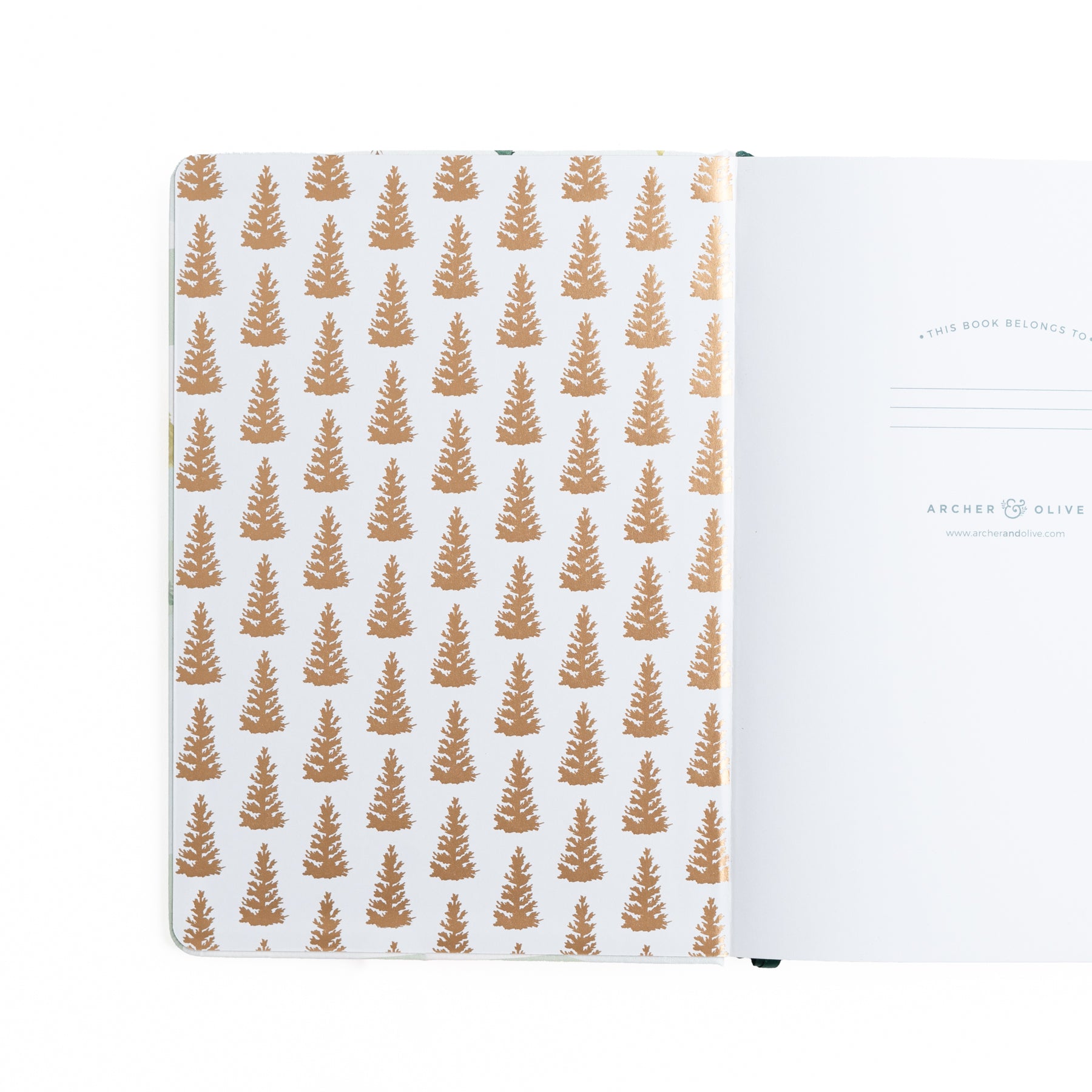 B6 Fox In Winter Woods: Dot Grid Notebook - Archer and Olive