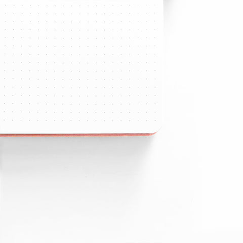 8x8 Dot Grid Notebook: Hedgehog - Archer and Olive