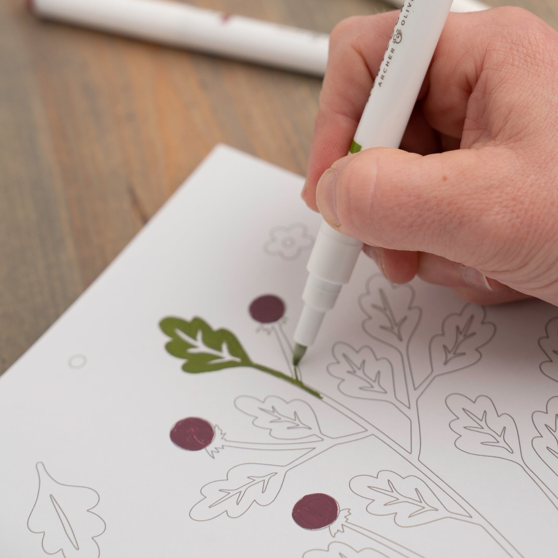 Relaxing Coloring Book - Archer and Olive