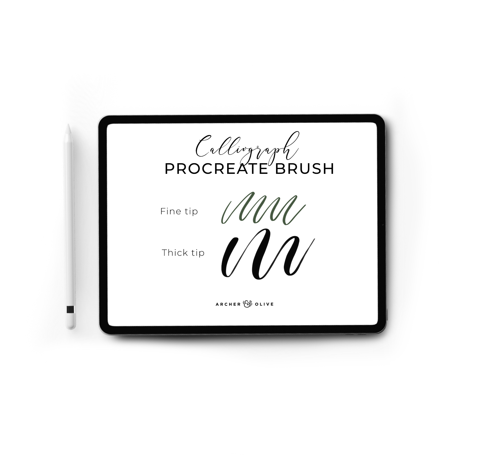 Procreate Fall Bundle (Bundled or Singular) - Archer and Olive