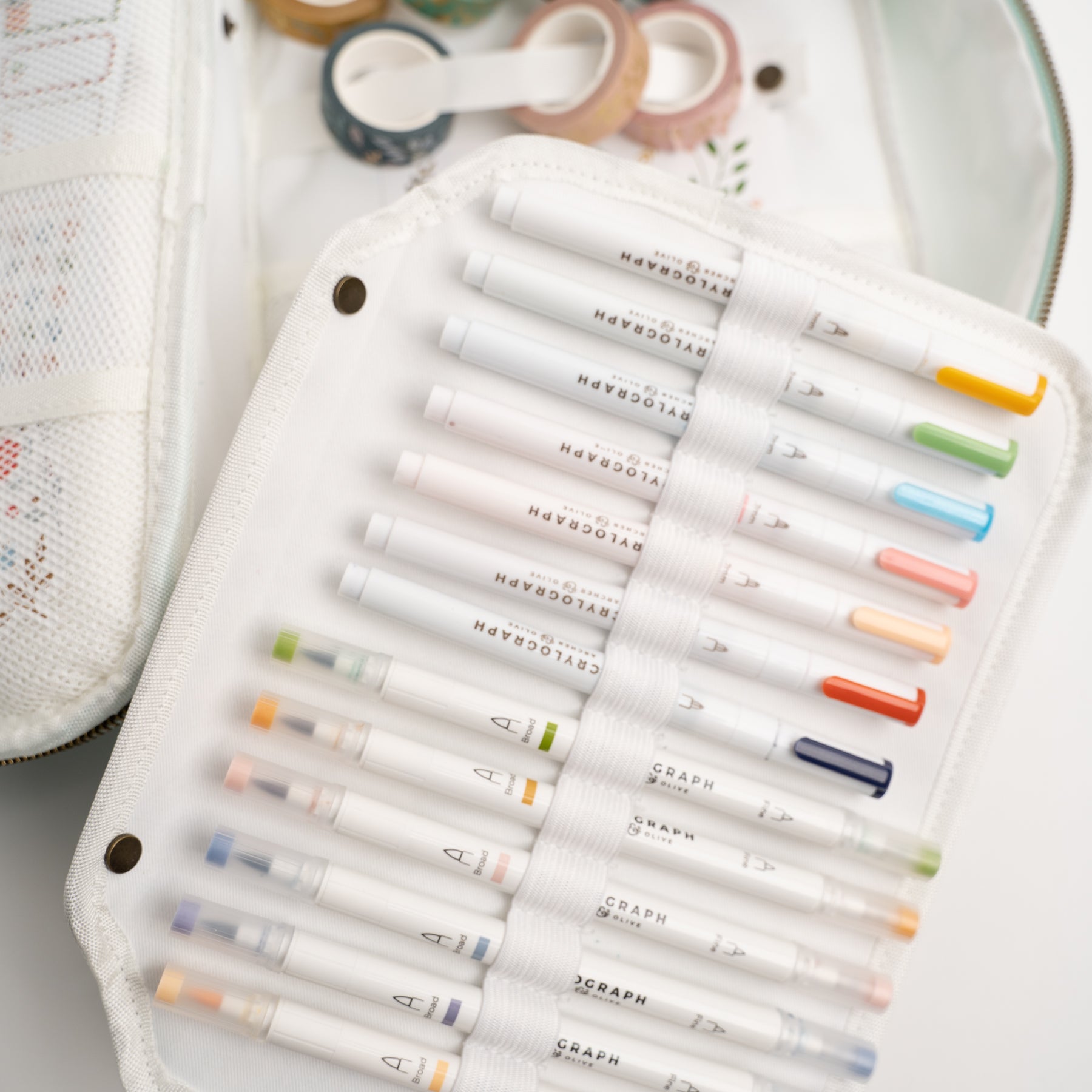 What's Coming In 2023 for Archer and Olive Archer and Olive