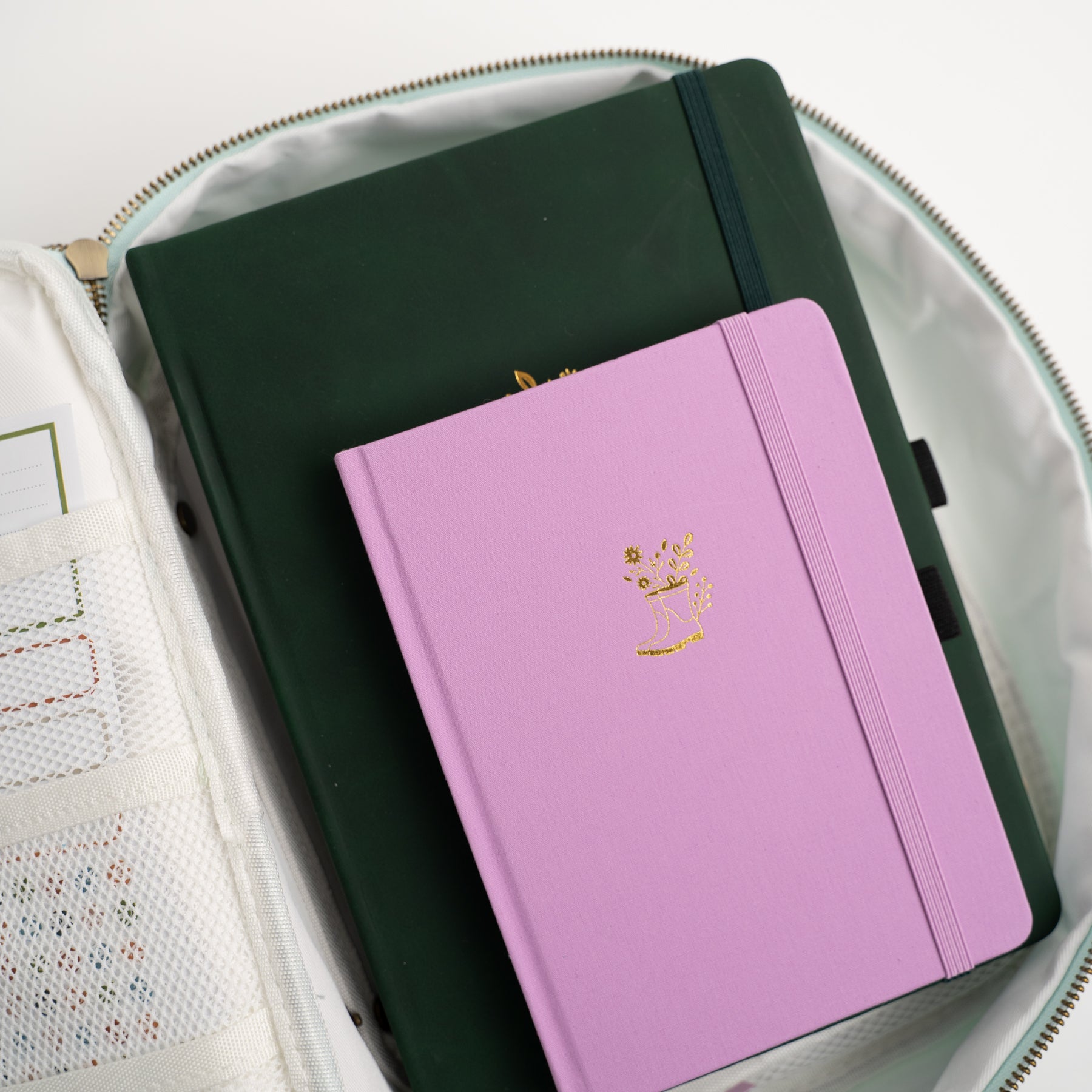 What's Coming In 2023 for Archer and Olive Archer and Olive